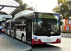 Stadtwerke Dachau (D) buses