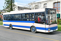Buses & Coaches - Bermuda