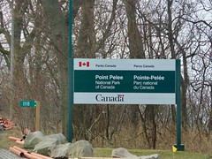 2020 March 11 - A hike through Point Pelee National Park, Ontario