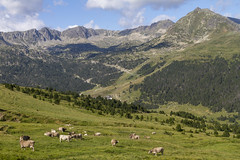 2019.07.30 // Spain - Pyrenees