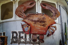 Sea Hagg Crab