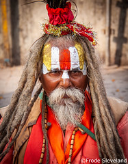 World Traveller: India & Nepal (2014)
