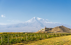 Areni / Ararat - Armenia