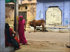 Rajasthan - Bundi