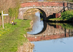 Montgomery Canal  in the sun