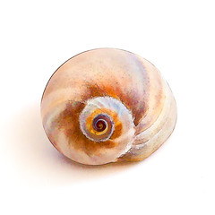 2018-04-07 Shells