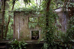 Villa in the jungle