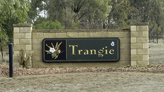 Trangie NSW