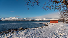 Tromsø 2020