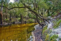 Florida's Beautiful Parks, Beaches, Lakes & Gardens