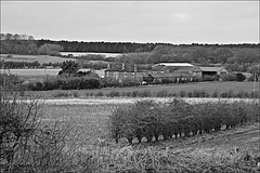 Micks Place in Monochrome East Yorkshire