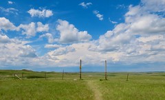 2019 June Road Trip through the prairies east of Calgary, Day 2, Shaunavon SK to Assiniiboia via Grasslands National Park