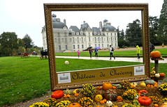 Cheverny - Le Château et les jardins