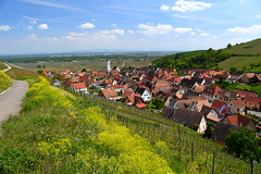 Katzenthal (Alsace)