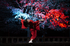 2020_04_07 [In Yoshinoyama]Japanese dancer "Gon no Yui" Project.