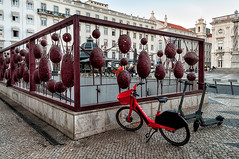 Lisbona 2019 - Praça do Município