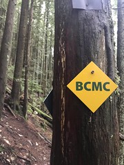 BCMC trail hike - December 2019