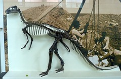 Camptosauridae