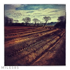 Fields, furrows, fences