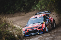 0292 - WRC Rally Argentina 2019 lado B
