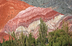 ARGENTINE la montagne aux 7 couleurs 2008-01