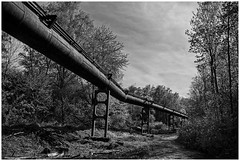 Pipelines in Duisburg
