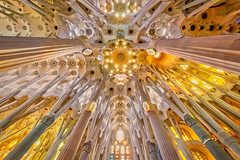 Sagrada Familia (Barcelona)