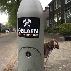 Neighbourhood Gelaen