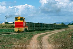 QLD Sugar Cane Trains