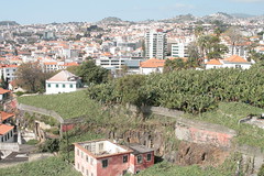 Madeira February 2020