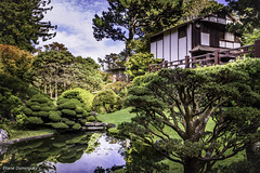 Etats-Unis San Francisco Japanese Tea Garden Octobre 2019