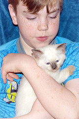 Kids and Kittens 04.21.20