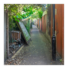 Alleyways of Waltham Forest