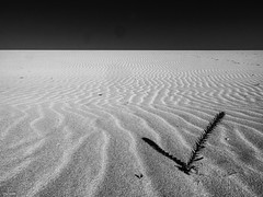 Dünen und Sand / dunes and sand