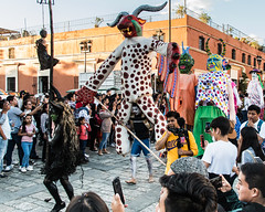 carnaval de putla villa de guerrero oaxaca 2020
