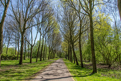 2020-04-19 - Natuurpark Lelystad