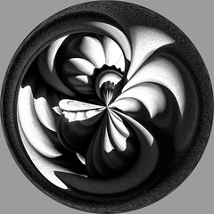 Amazing Circles And Other Processing Foolishness