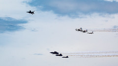 Blue Angels and Thunderbirds