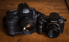 Canon EOS 1Ds (2002) / Sony a700 (2007)