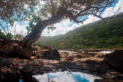 Lagon de la Porte d'Enfer, Anse-Bertrand, Grande-Terre, Guadeloupe