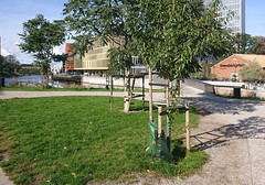 Parks und Gärten in Malmö