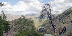 Chiricahua Mountains