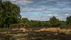 Sutton Park (Covid-19)