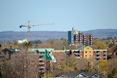 Tower cranes over Ottawa