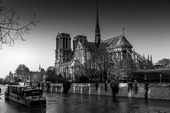 Notre Dame in Black & White 