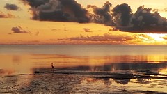 sunrise Zanzibar