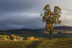 Scottish landscapes