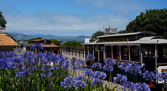 2017-07 San Francisco