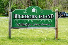 Buckhorn State Park, Grand Island, New York 2020