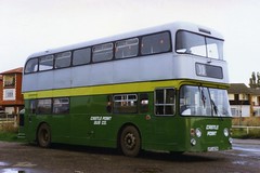 Castlepoint Bus Company